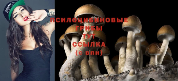 прущая мука Белокуриха
