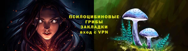 тгк Беломорск